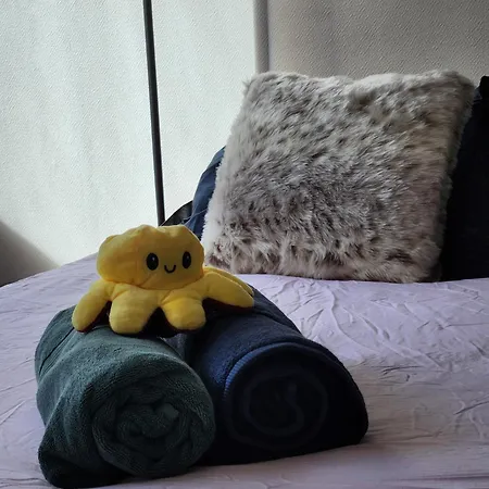 - Cosy - Hypercentre דירה